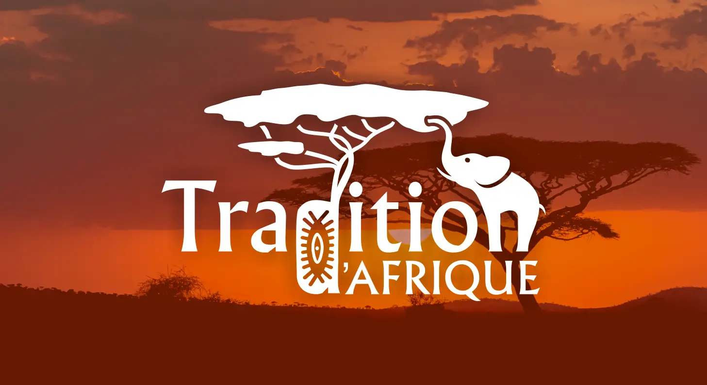 You are currently viewing Ouverture officiel du site tradition d&rsquo;Afrique